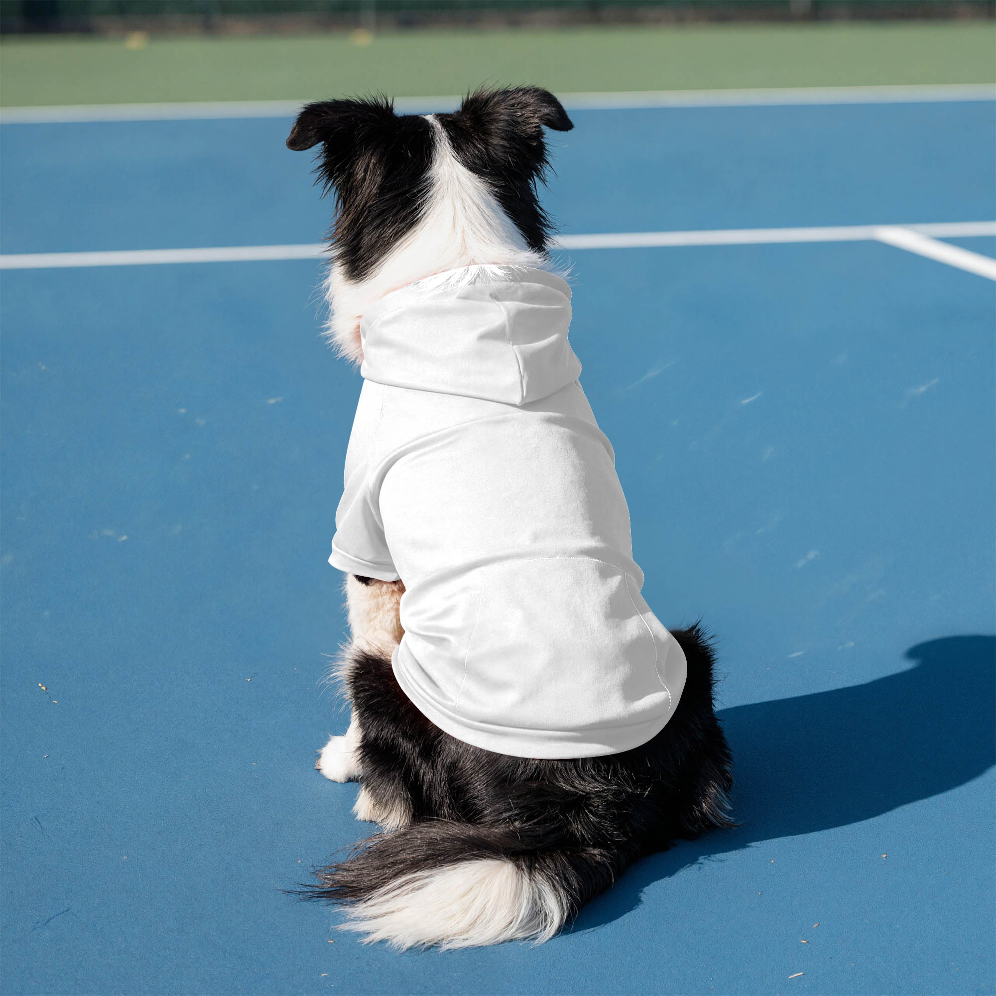 Zip Up Pet Hoodie