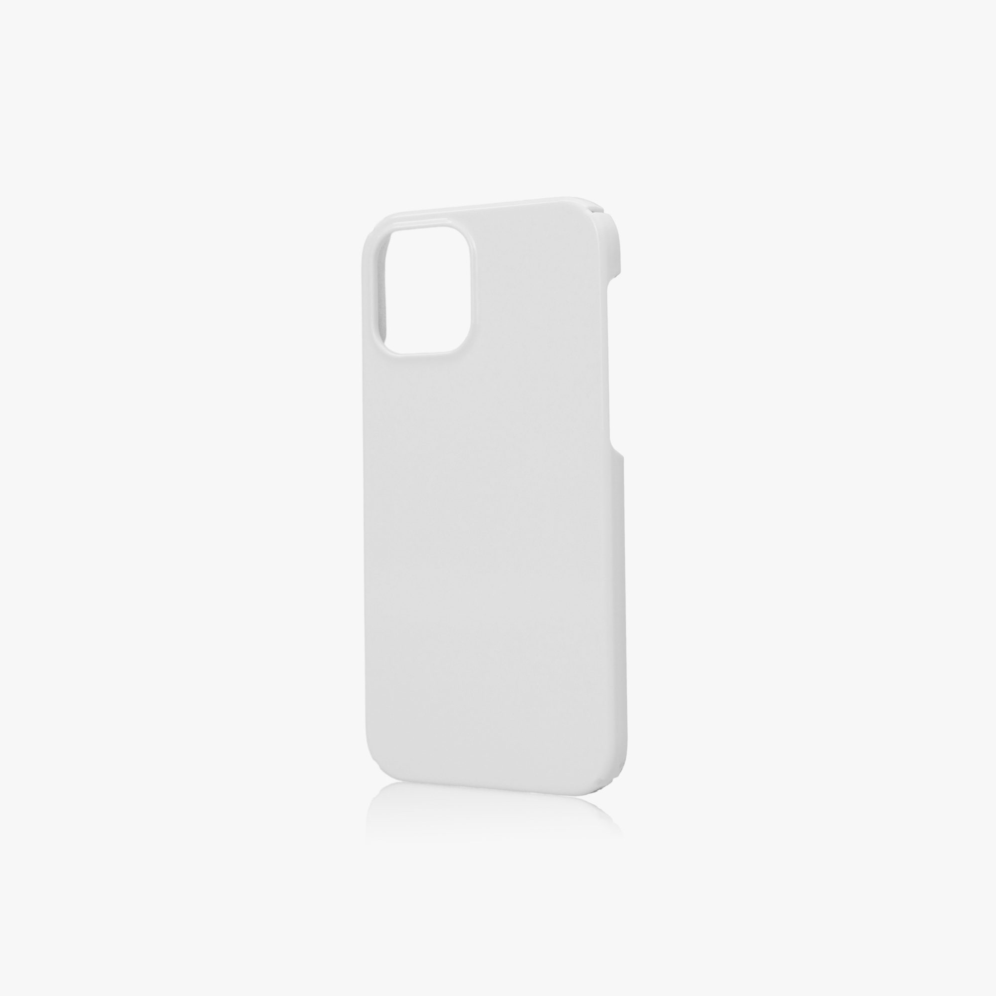 iPhone 11 Pro Case
